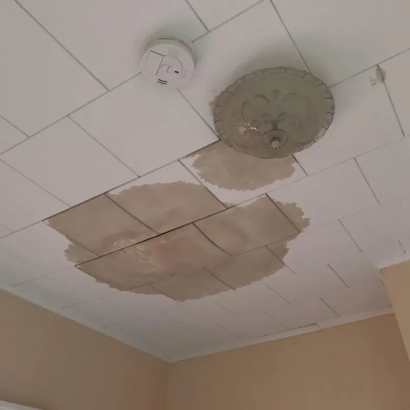 Ceiling Water Damage Repair in Belmont County, OH