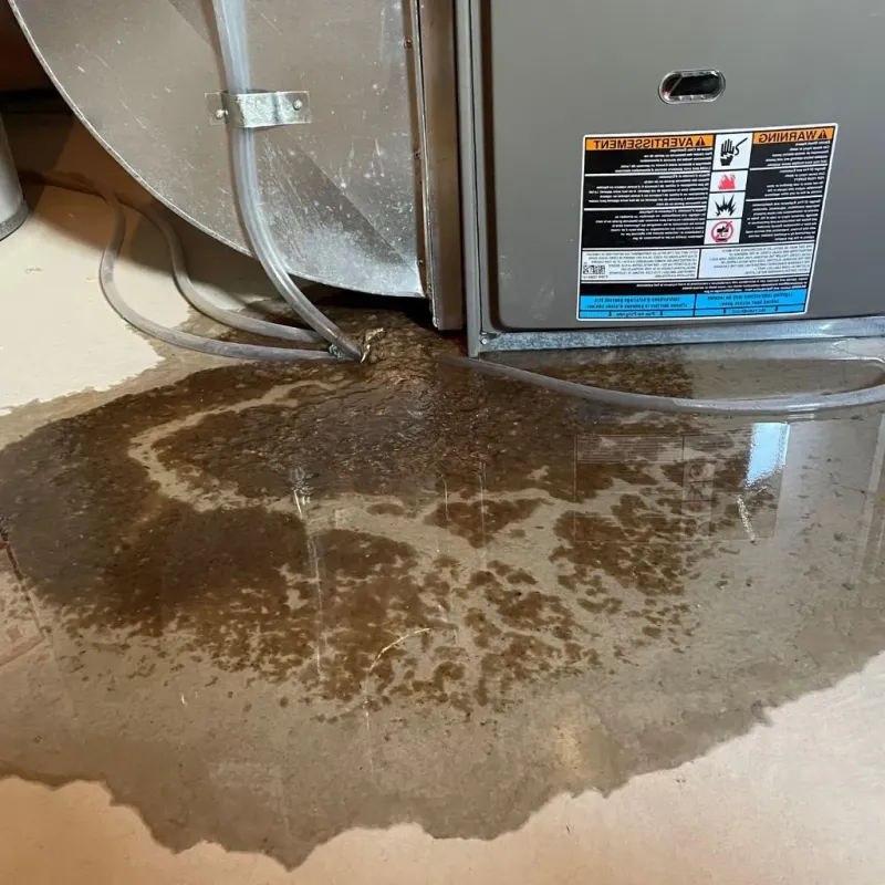 Pipe Burst and Leak Restoration in Belmont County, OH