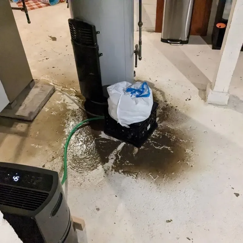 Sewage Backup Cleanup Service in Belmont County, OH